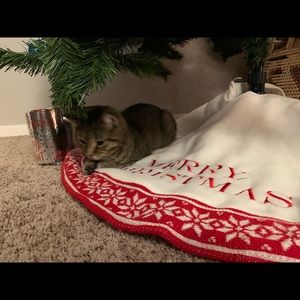 Meet your Posher, Nick